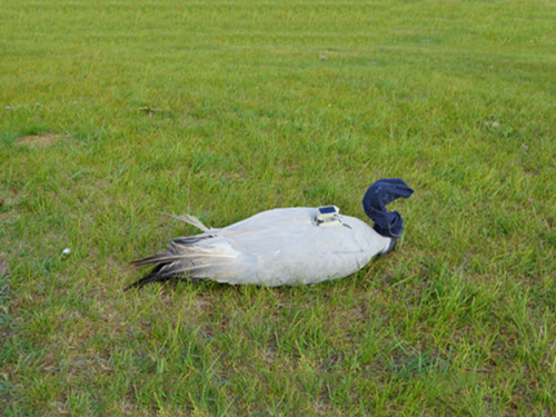 2016��5�������׷��