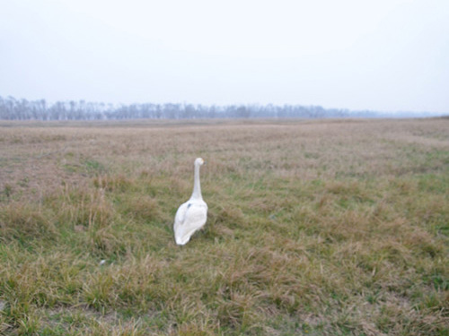 2015��3��С���׷��