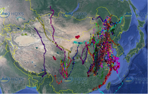 7790�ط����Ź������,����Ұ������׷��,��������׷����,����׷����