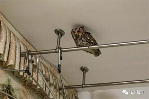 7790�ط����Ź������,����Ұ������׷��,��������׷����,����׷����