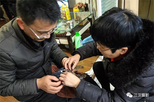 7790�ط����Ź������,����Ұ������׷��,��������׷����,����׷����