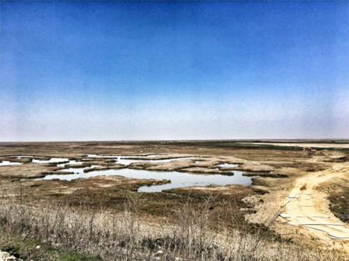 7790�ط����Ź������,����Ұ������׷��,��������׷����,����׷����