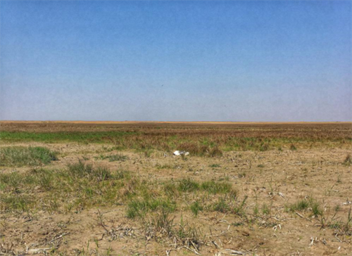 7790�ط����Ź������,����Ұ������׷��,��������׷����,����׷����