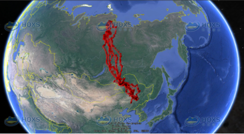 7790�ط����Ź������,����Ұ������׷��,��������׷����,����׷����