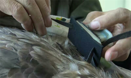 7790�ط����Ź������,����Ұ������׷��,��������׷����,����׷����