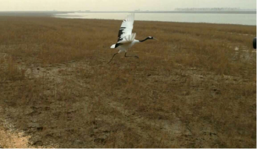 7790�ط����Ź������,����Ұ������׷��,��������׷����,����׷����