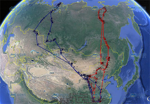 7790�ط����Ź������,����Ұ������׷��,��������׷����,����׷����