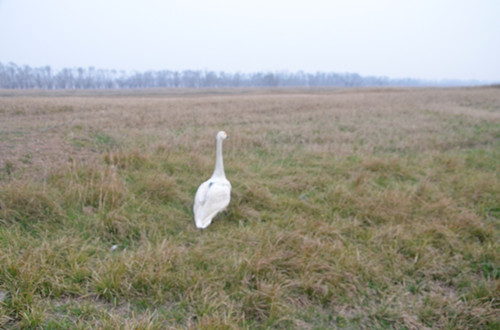 7790�ط����Ź������,����Ұ������׷��,��������׷����,����׷����