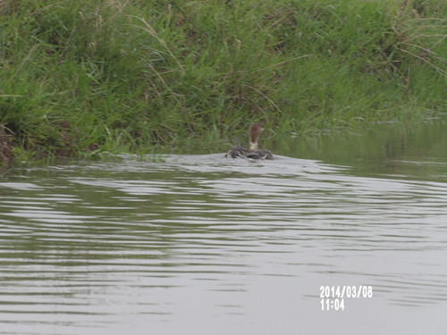 7790�ط����Ź������,����Ұ������׷��,��������׷����,����׷����