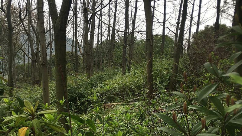 7790�ط����Ź������,����Ұ������׷��,��������׷����,����׷����