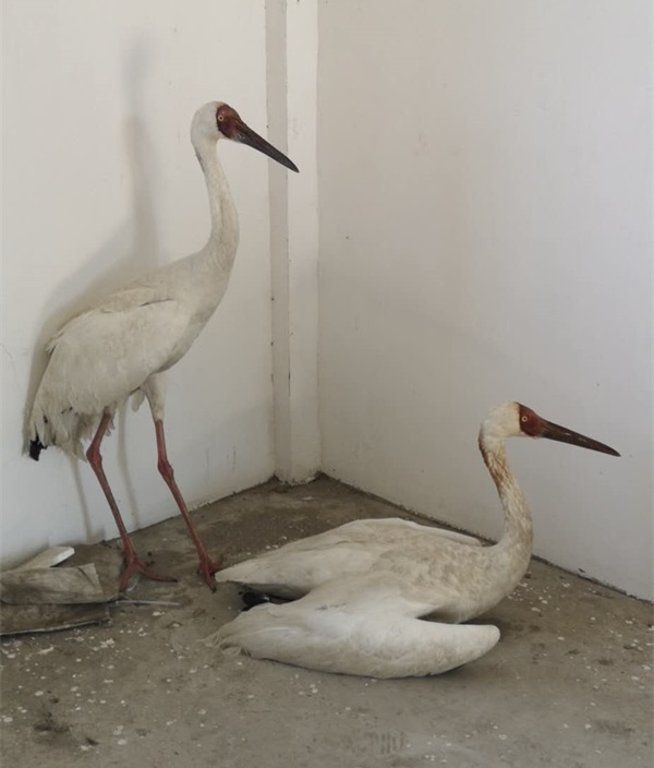 7790�ط����Ź������,����Ұ������׷��,��������׷����,����׷����