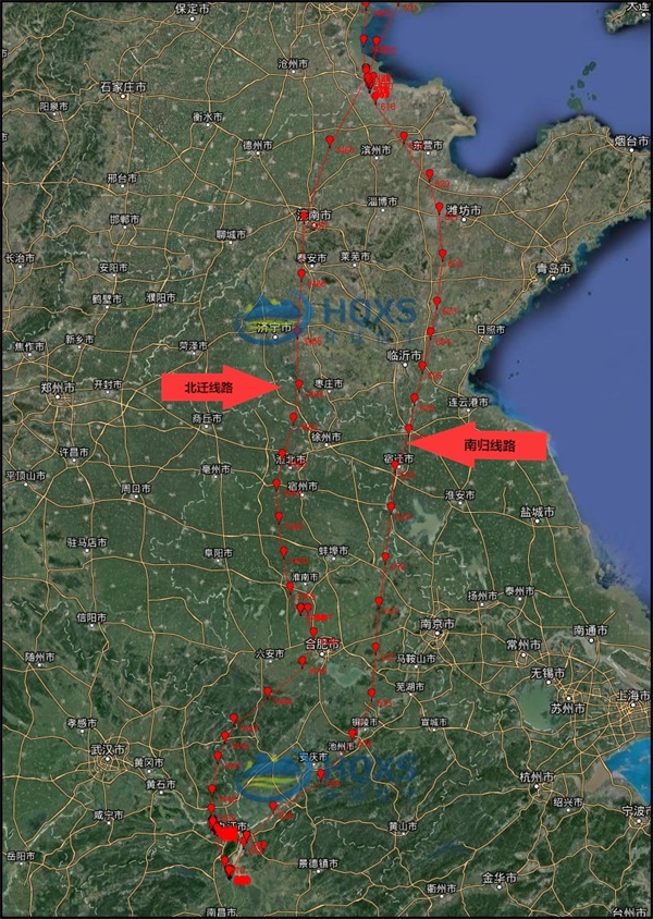 7790�ط����Ź������,����Ұ������׷��,��������׷����,����׷����