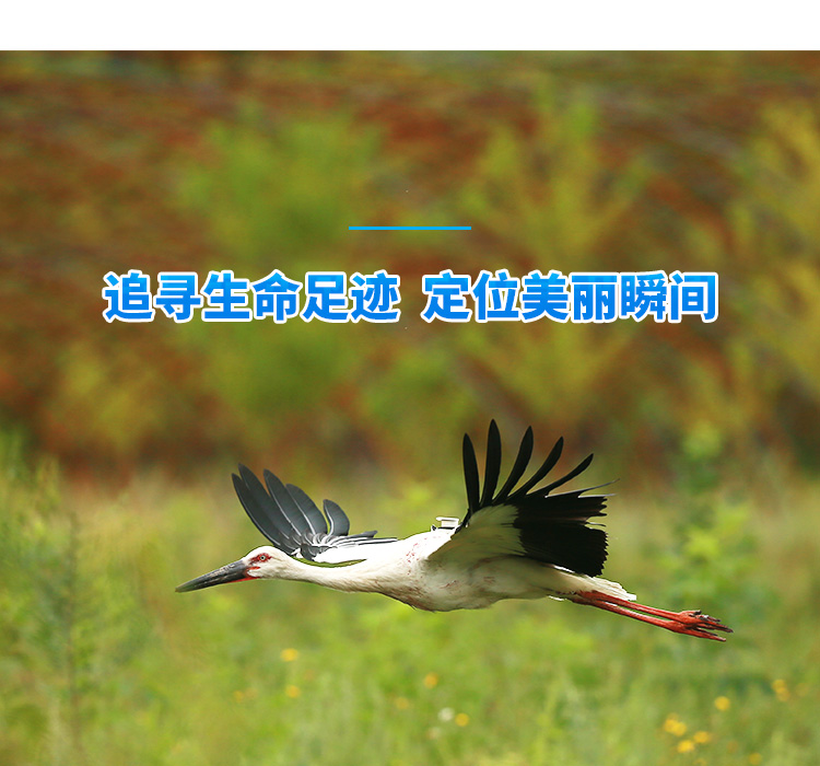 7790�ط����Ź������_����Ұ������׷��|��������׷����