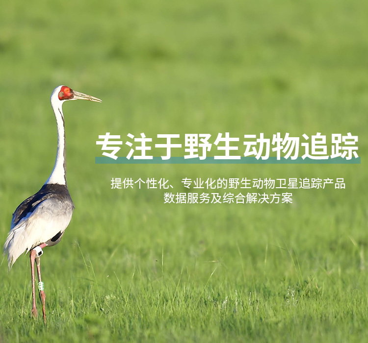 7790�ط����Ź������_����Ұ������׷��|��������׷����