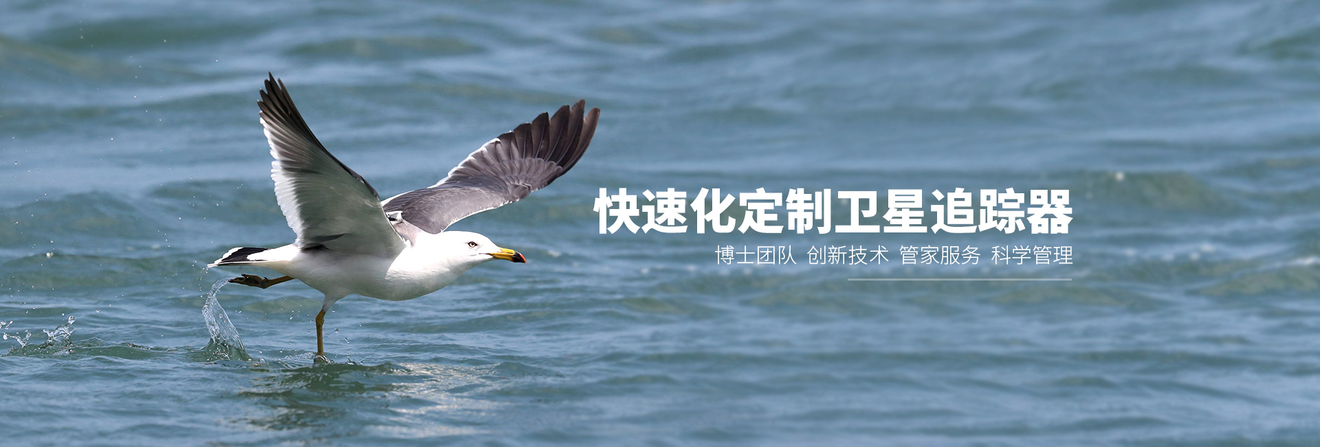 7790�ط����Ź������_����Ұ������׷��|��������׷����