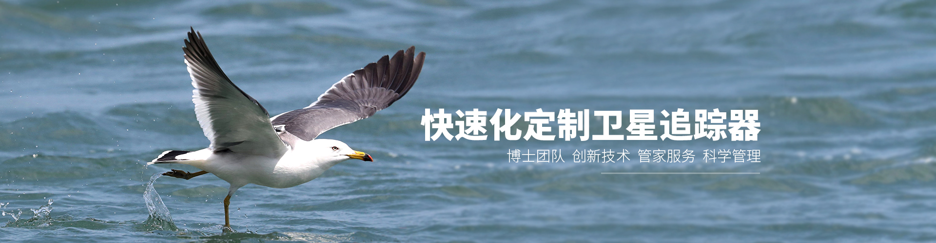 7790�ط����Ź������_����Ұ������׷��|��������׷����