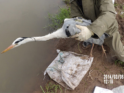 7790�ط����Ź������,����Ұ������׷��,��������׷����,����׷����