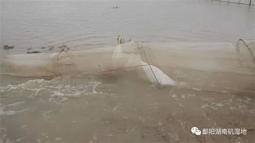 7790�ط����Ź������,����Ұ������׷��,��������׷����,����׷����