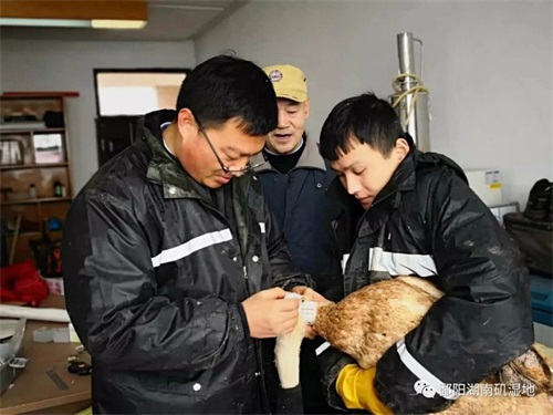 7790�ط����Ź������,����Ұ������׷��,��������׷����,����׷����