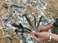 7790�ط����Ź������,����Ұ������׷��,��������׷����,����׷����