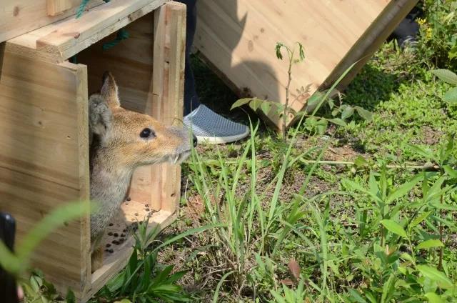 ���������Ͳ�,�Ͳ���,�Ͳ��,����ʱ���,�����,�Ͳ����Ǯ,�Ͳ�������,�Ͳ������