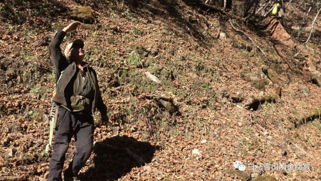 ���������Ͳ�,�Ͳ���,�Ͳ��,����ʱ���,�����,�Ͳ����Ǯ,�Ͳ�������,�Ͳ������