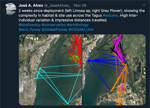 7790�ط����Ź������,����Ұ������׷��,��������׷����,����׷����