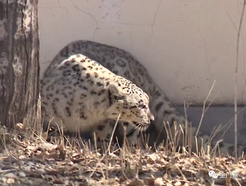 7790�ط����Ź������,����Ұ������׷��,��������׷����,����׷����