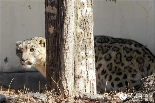 7790�ط����Ź������,����Ұ������׷��,��������׷����,����׷����