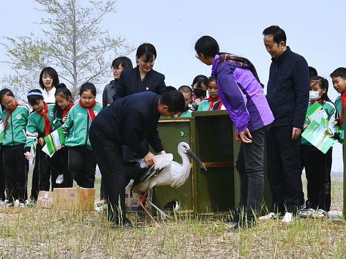 7790�ط����Ź������,����Ұ������׷��,��������׷����,����׷����