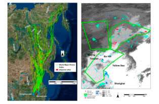 7790�ط����Ź������,����Ұ������׷��,��������׷����,����׷����