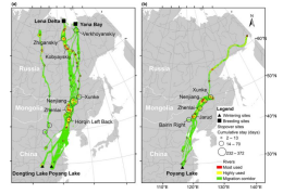 7790�ط����Ź������,����Ұ������׷��,��������׷����,����׷����