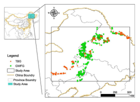 7790�ط����Ź������,����Ұ������׷��,��������׷����,����׷����