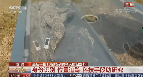 7790�ط����Ź������,����Ұ������׷��,��������׷����,����׷����