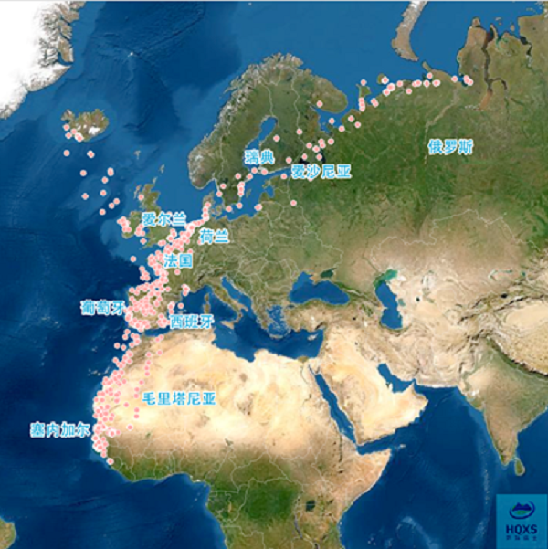 7790�ط����Ź������,����Ұ������׷��,��������׷����,����׷����