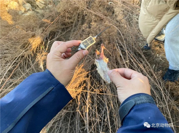 7790�ط����Ź������,����Ұ������׷��,��������׷����,����׷����