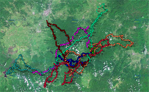 7790�ط����Ź������,����Ұ������׷��,��������׷����,����׷����