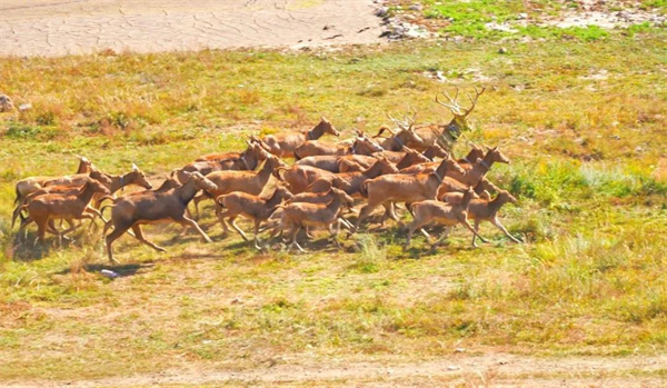 7790�ط����Ź������,����Ұ������׷��,��������׷����,����׷����