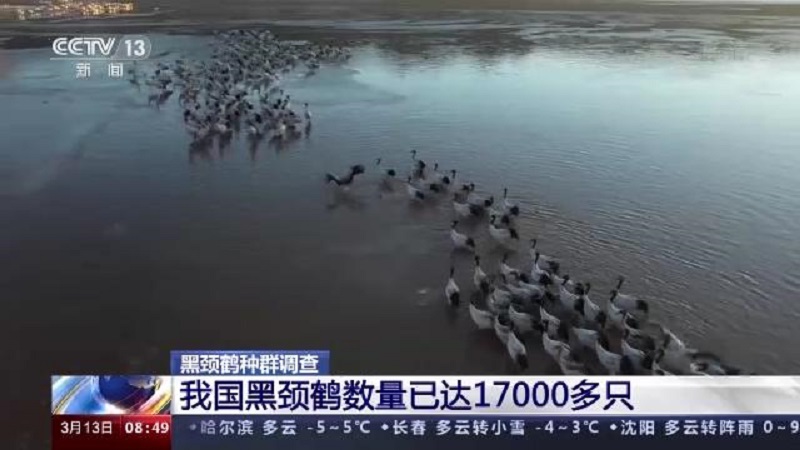 7790�ط����Ź������,����Ұ������׷��,��������׷����,����׷����