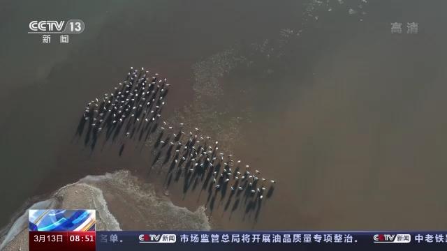 7790�ط����Ź������,����Ұ������׷��,��������׷����,����׷����