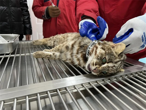 7790�ط����Ź������,����Ұ������׷��,��������׷����,����׷����