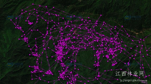 7790�ط����Ź������,����Ұ������׷��,��������׷����,����׷����