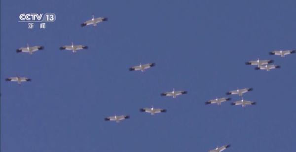 7790�ط����Ź������,����Ұ������׷��,��������׷����,����׷����