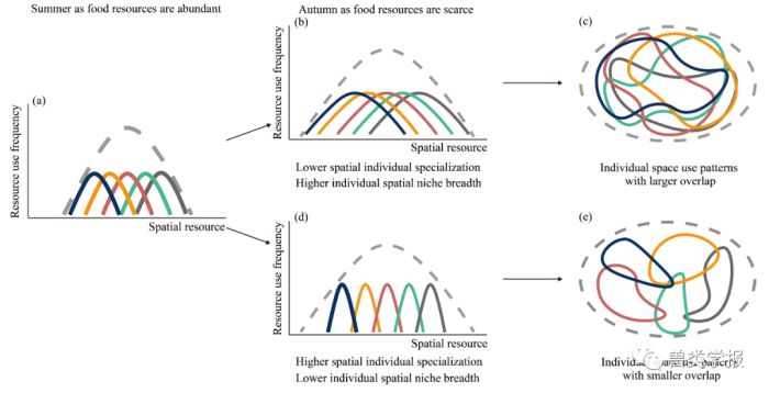 7790�ط����Ź������,����Ұ������׷��,��������׷����,����׷����