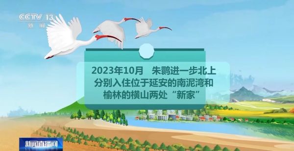 7790�ط����Ź������,����Ұ������׷��,��������׷����,����׷����