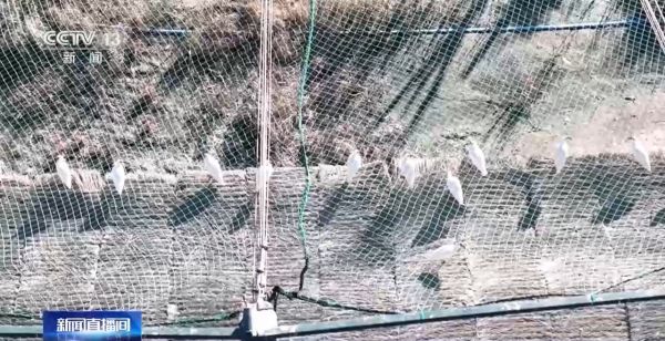 7790�ط����Ź������,����Ұ������׷��,��������׷����,����׷����