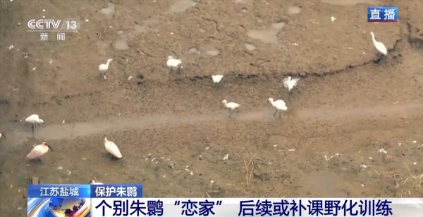 7790�ط����Ź������,����Ұ������׷��,��������׷����,����׷����