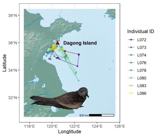 7790�ط����Ź������,����Ұ������׷��,��������׷����,����׷����