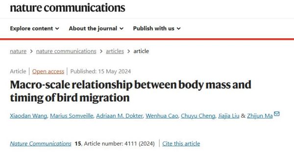 7790�ط����Ź������,����Ұ������׷��,��������׷����,����׷����