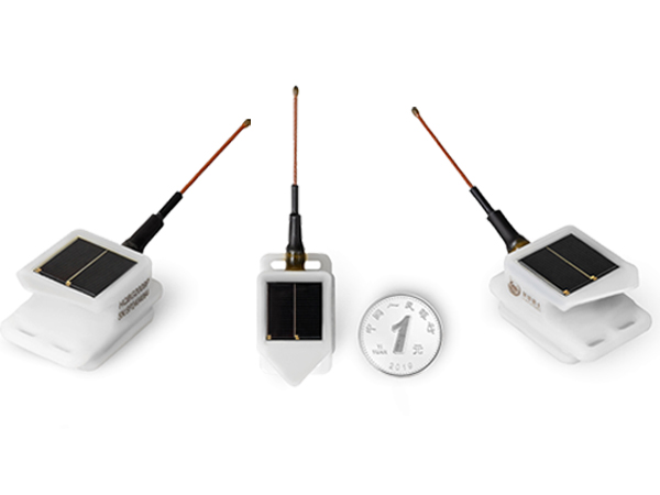 7790�ط����Ź������,����Ұ������׷��,��������׷����,����׷����